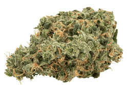 avaay 35/1 SCG Super Citra G